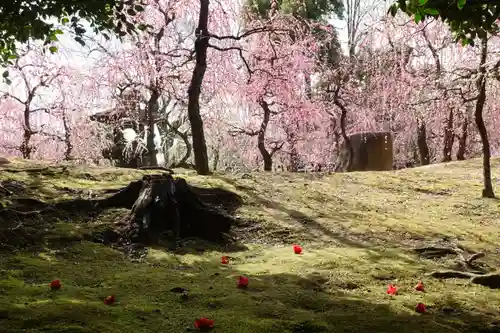 城南宮の景色