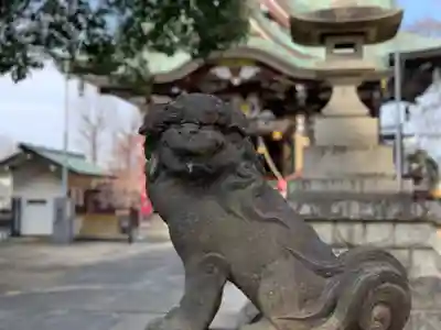 諏訪神社の狛犬