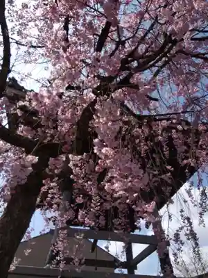 浄得寺(福井県)
