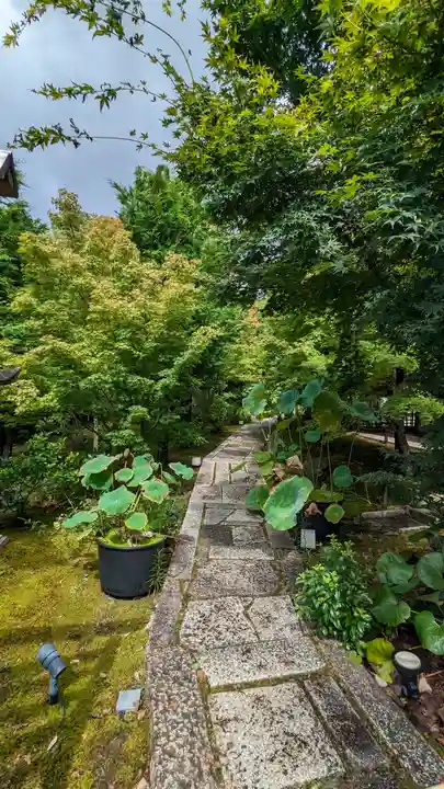 勝林寺(京都府)