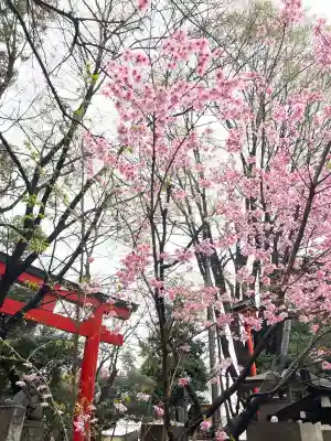 花園神社(東京都)