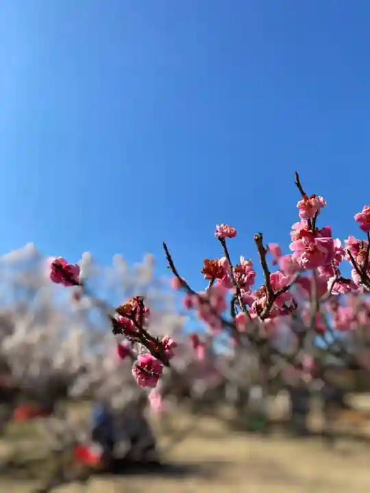 神前神社(岡山県)
