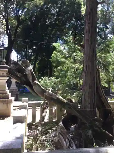 弓削神社(山梨県)