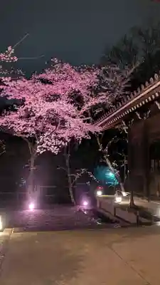 知恩院(京都府)