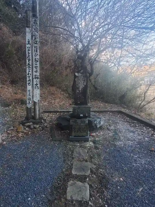 樺崎八幡宮(栃木県)