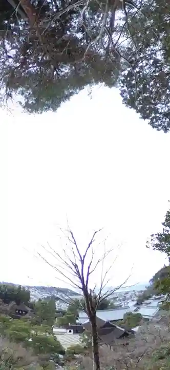 慈照寺(慈照禅寺・銀閣寺)(京都府)