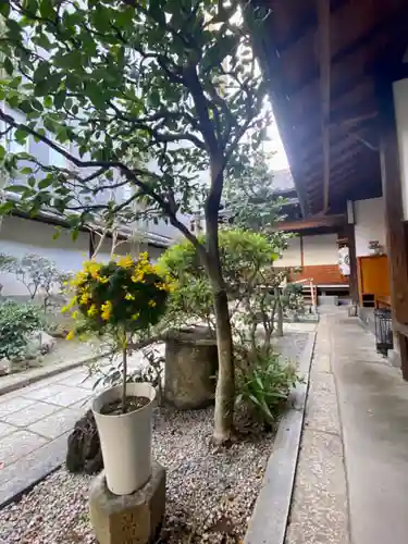 極楽寺(京都府)