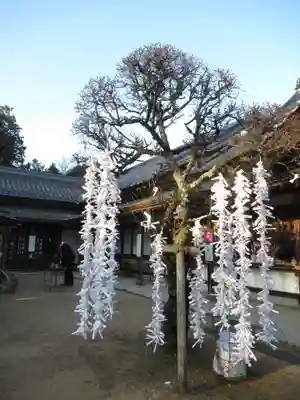 大生郷天満宮(茨城県)