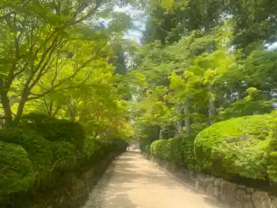 壇上伽藍(和歌山県)
