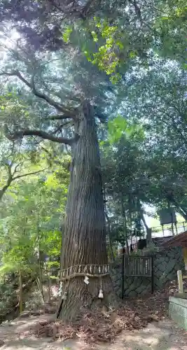 高嶺神社(兵庫県)