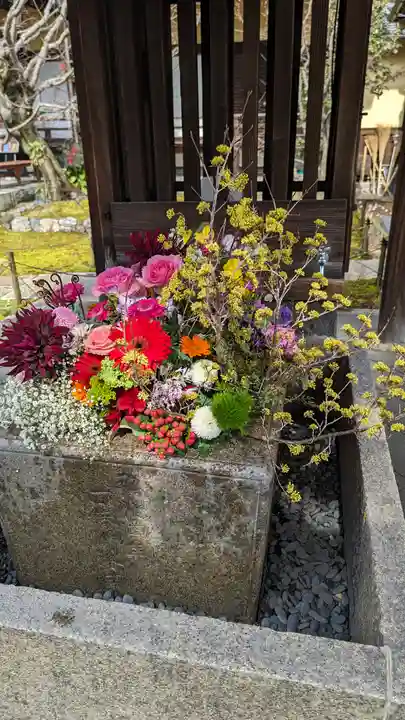 勝林寺(京都府)