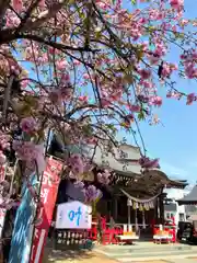 大野神社(埼玉県)