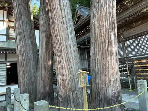 北向観音(長野県)