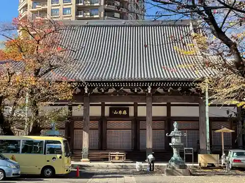 善福寺の本殿・本堂