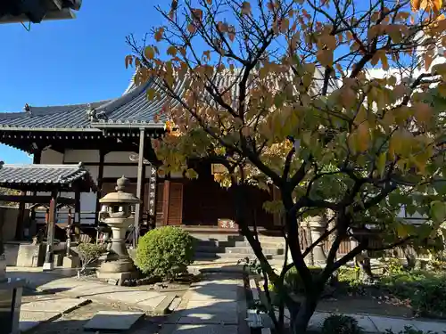 圓通寺(大阪府)
