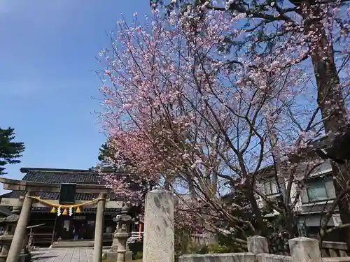 犀川神社の鳥居