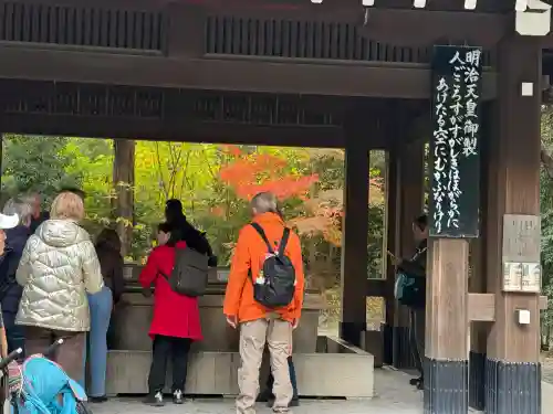 明治神宮(東京都)