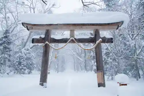 戸隠神社奥社(長野県)