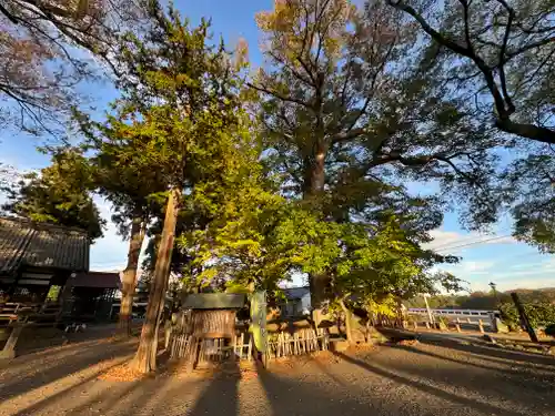 白鳥神社(長野県)