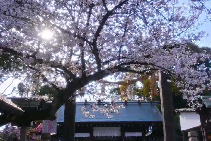 伊勢山皇大神宮(神奈川県)
