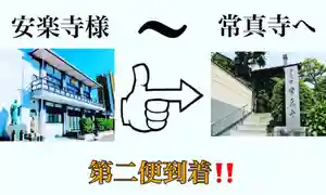 常真寺(千葉県)(2022年06月15日(水) 16時15分22秒投稿)