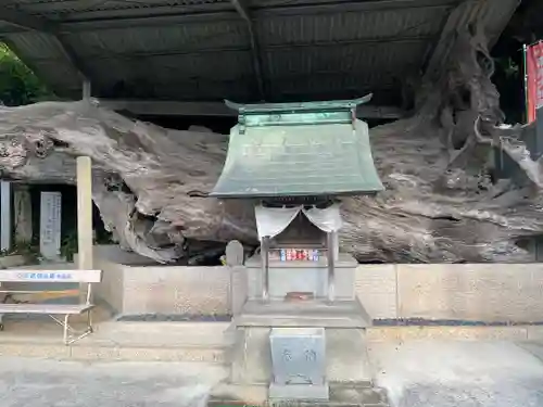 正善寺（生木地蔵）(愛媛県)