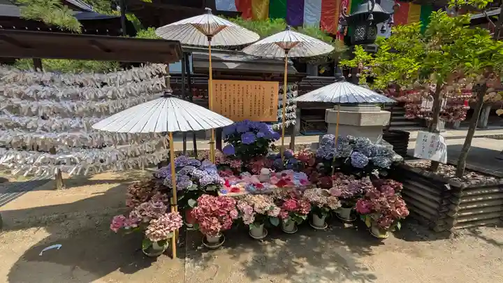 岡寺(龍蓋寺)(奈良県)