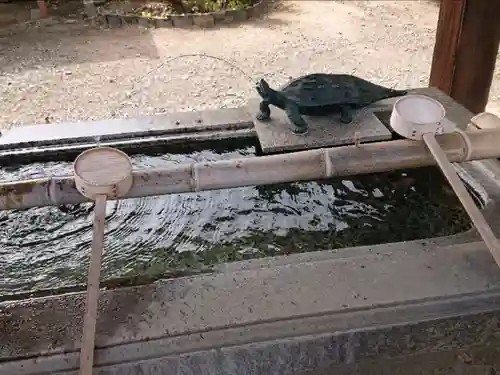 八坂神社の手水