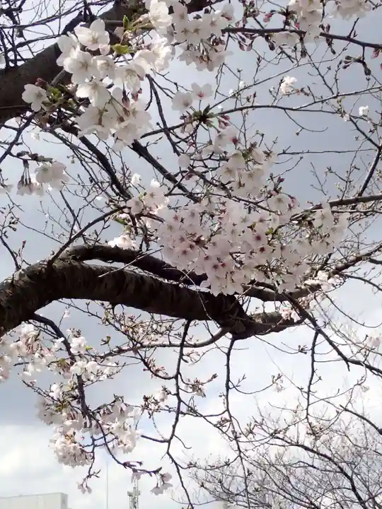 孝道山の御朱印