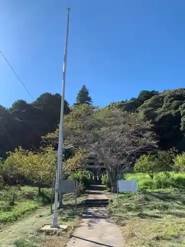 天照大神社の鳥居