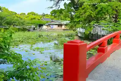 鶴岡八幡宮(神奈川県)