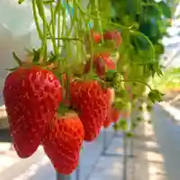 白翁山 神護寺(愛知県)