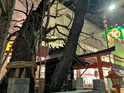 龍王大神の{uncategorized: "未分類", other: "その他", undefined: "問題あり", building: "その他建物", grave: "お墓", sacred_gate: "鳥居", guardian: "狛犬", statue: "像", buddha: "仏像", history: "歴史", nature: "自然", garden: "庭園", animal: "動物", pagoda: "塔", temizu: "手水舎", mountain_gate: "山門・神門", sanctuary: "本殿・本堂", subordinate: "末社・摂社", art: "芸術", scenery: "景色", jizo: "地蔵", ema: "絵馬", goshuin: "御朱印", omikuji: "おみくじ", items: "授与品その他", amulet: "お守り", goshuincho: "御朱印帳", eats: "食事", festival: "お祭り", votive_dance: "神楽", shichigosan: "七五三参", wedding: "結婚式", experience: "体験その他", initially: "初詣", around: "周辺", anti_infection: "感染症対策"}
