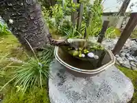 普賢寺(東京都)