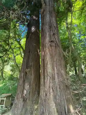 長谷寺(奈良県)