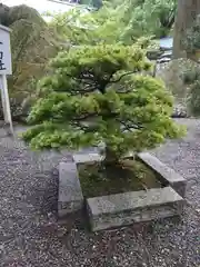 安房神社(千葉県)