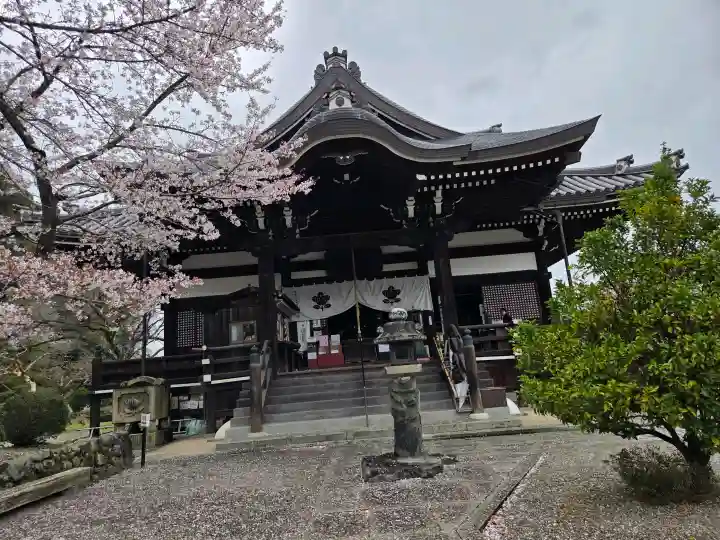 橘寺の御朱印