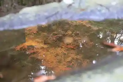 鹿島大神宮の手水舎