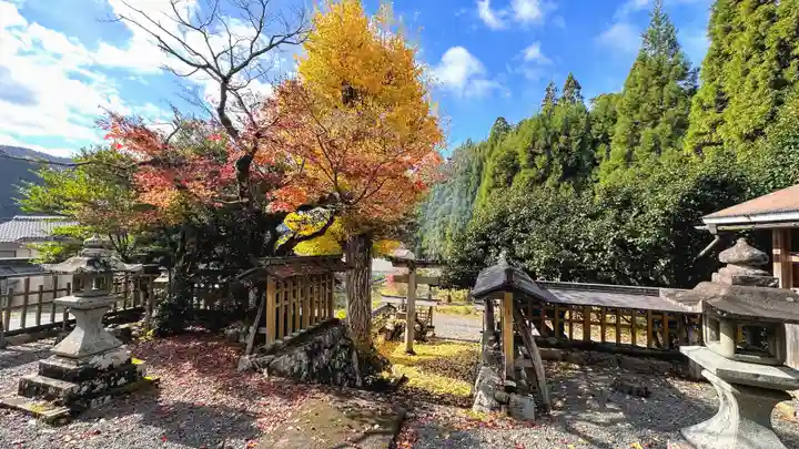 熊野神社(京都府)