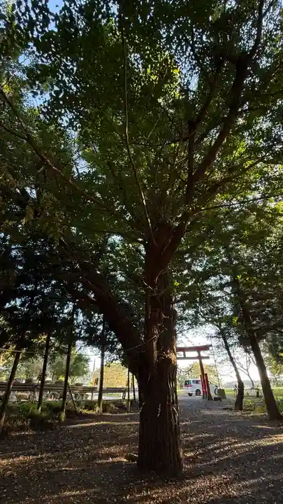 石手堰神社(岩手県)