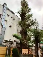 天祖神社(東京都)