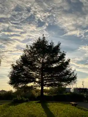 鞆江神社（明地）(愛知県)