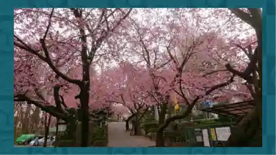 密藏院(埼玉県)