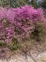 貴船神社の自然