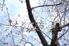 熊野神社(埼玉県)