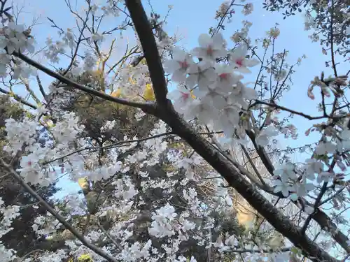瀬戸神社の自然