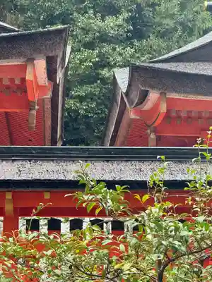 熊野那智大社(和歌山県)
