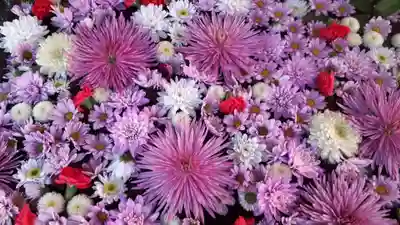 白岡八幡神社の手水舎