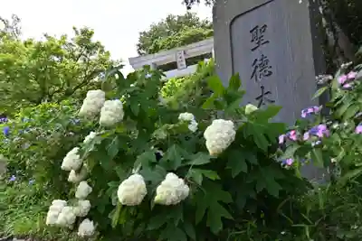 竹原神社(茨城県)