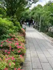 鳩森八幡神社の建物その他